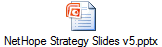 NetHope Strategy Slides v5.pptx